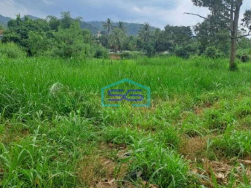 Dijual Tanah Di Cibodas Rumpin Bogor Jawa Barat LT 12000m2