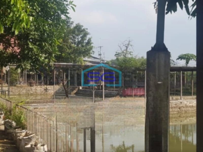 Dijual Tanah & Bangunan Kolam Bareta, Desa Talok, Pacet, Dlangu, Mojokerto Luas Tanah  2160 m²