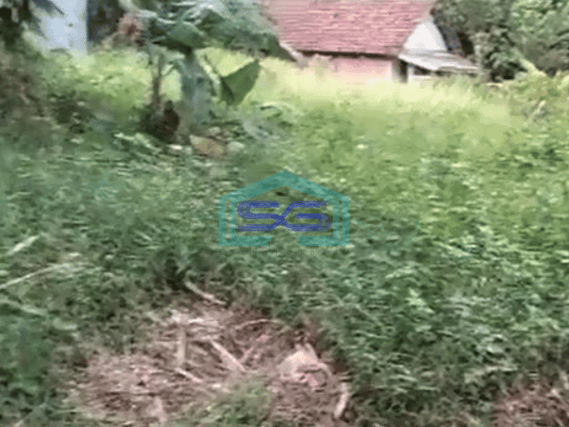 Dijual Tanah Untuk Gudang di Pinggir Jalan Raya Tenjo Bogor