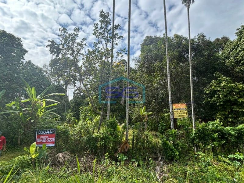 Dijual Tanah Produktif di Lintas Muara Enim Palembang Luas 2110m2