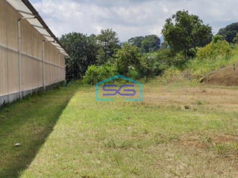 Dijual Tanah Kawasan Puncak Desa Kuta Megamendung Bogor LT 8000m2
