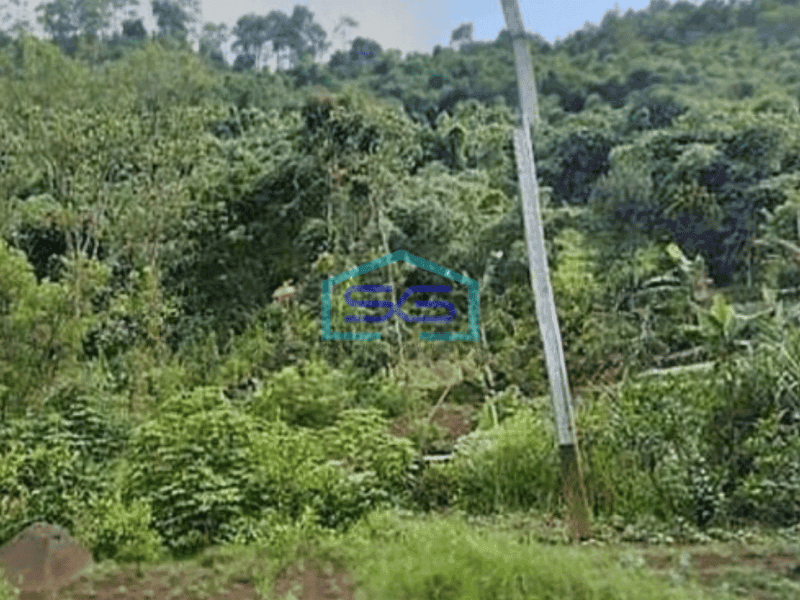 Dijual Tanah dekat Burgundy Maribaya Dan Hot Water Spring Maribaya Luas Tanah 21275 m²