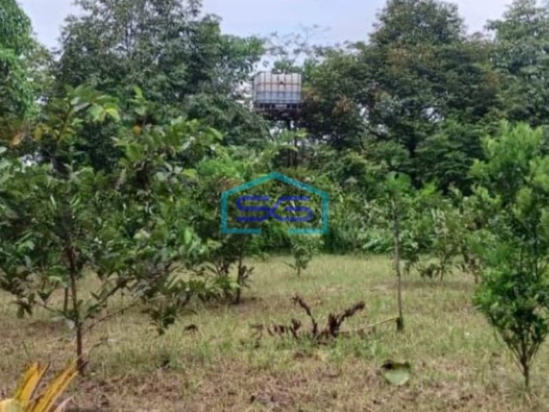 Dijual Tanah Plus Ruang Usaha Lokasi Strategis di Cicurug Sukabumi LT 27000m2