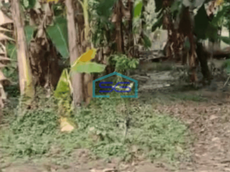 Dijual Tanah Sangat Strategis Industri Tegowanu Grobogan Luas 7 Ha