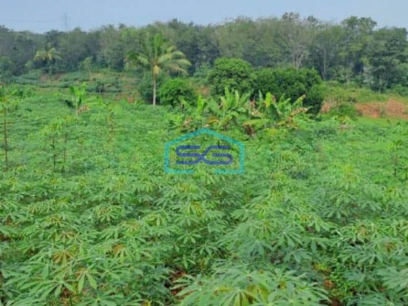 Dijual Tanah Lokasi Strategis Di Rumpin Bogor Jawa Barat LT 5000m2