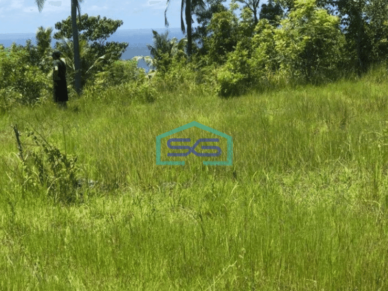 Dijual Tanah di Nusa Penida Klungkung Bali Luas Tanah  8500 m²