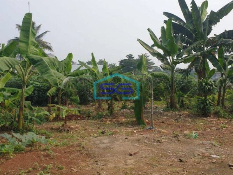 Dijual Tanah SHM Luas 9000m² di Parung Bogor Cocok Untuk Ruko Dan Gudang