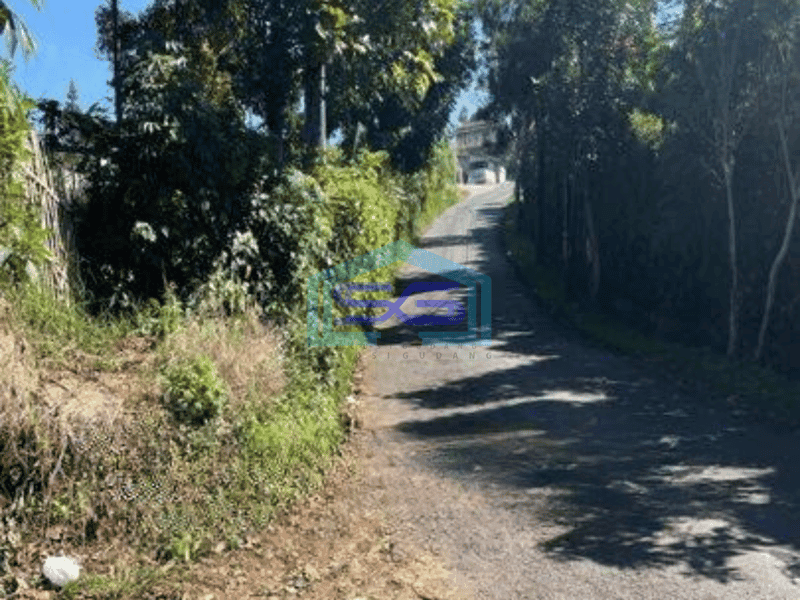 Dijual Tanah Untuk Gudang di Kawasan Punclut Lembang