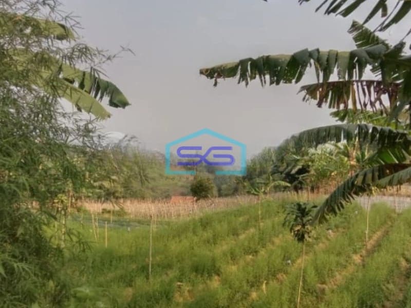 Dijual Tanah Giri Jaya Cidahu Sukabumi Luas Tanah 25000m2