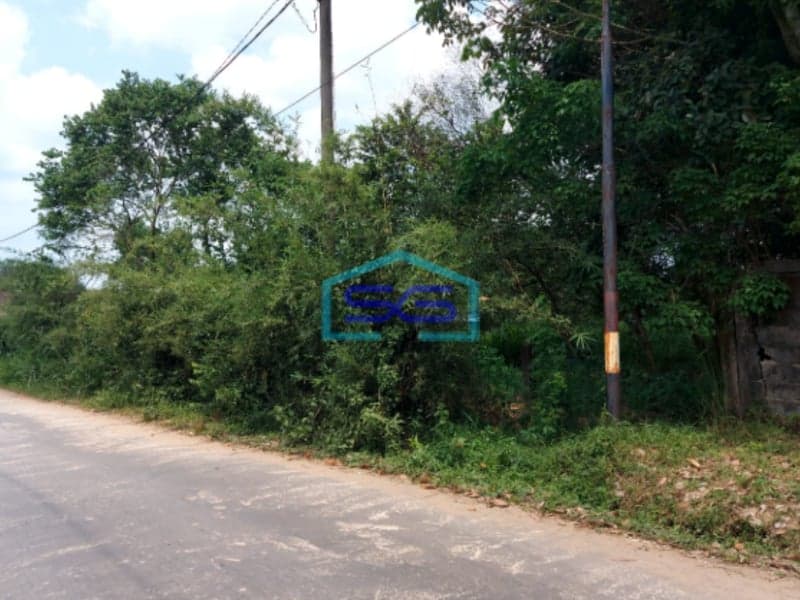 Dijual Tanah Seluas 6000 m² di Jalan Sungai Sedapat Palembang Luas 6000m2