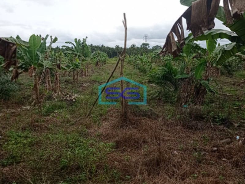 Dijual Tanah di Jalan Tanjung Api-Api Banyuasin Lokasi Strategis LT 22050m2