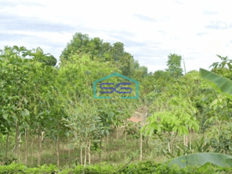 Dijual Tanah Luas 52000 m² di Serpong Utara Tangerang Selatan Harga Bisa Nego