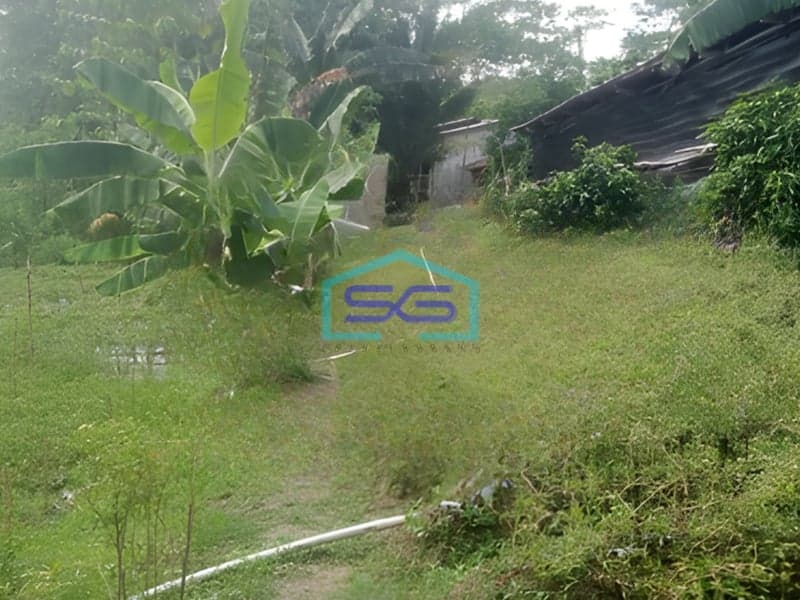 Disewakan Tanah Luas Tanah 1600m2 SHM di Citeureup Bogor