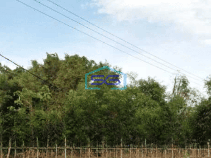 Dijual Tanah Luas  7965 m² Lokasi Bangkalan Madura