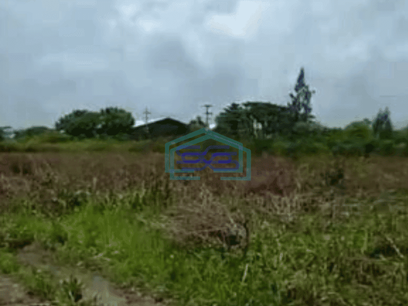 Dijual Tanah Industri Nol Jalan Raya Tuban Kecamatan Widang Luas Tanah 40000 m²