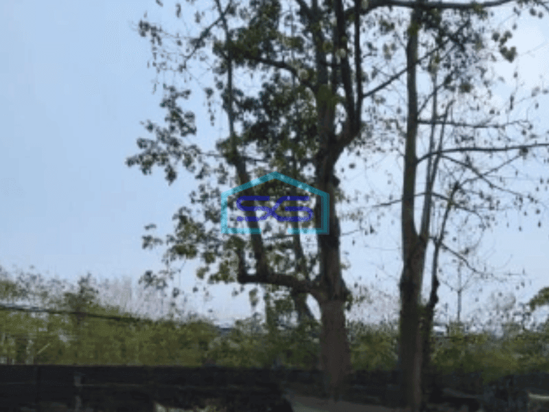 Dijual Tanah Luas 10771 m² di Pinggir Jalan Raya Kelapa Dua Tangerang