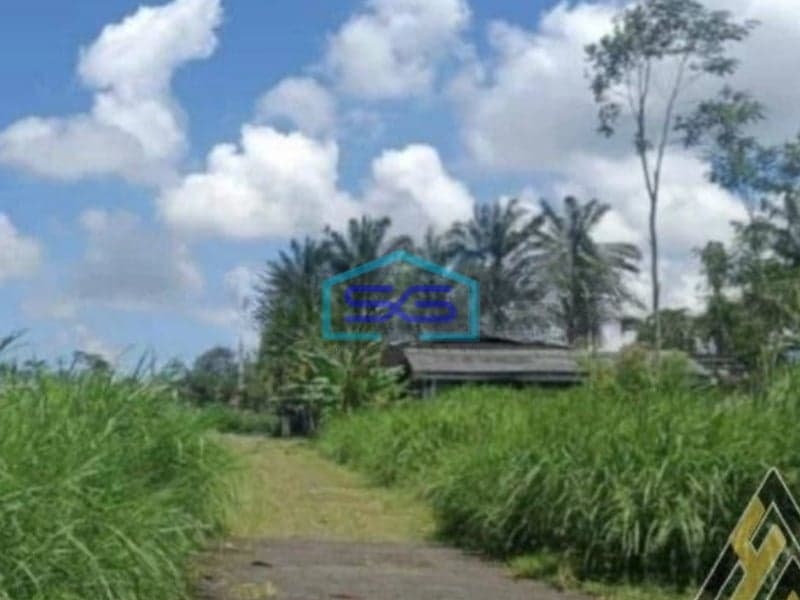 Dijual Cepat Tanah Zona Industri Lokasi Tengaran Semarang Luas 10 Ha