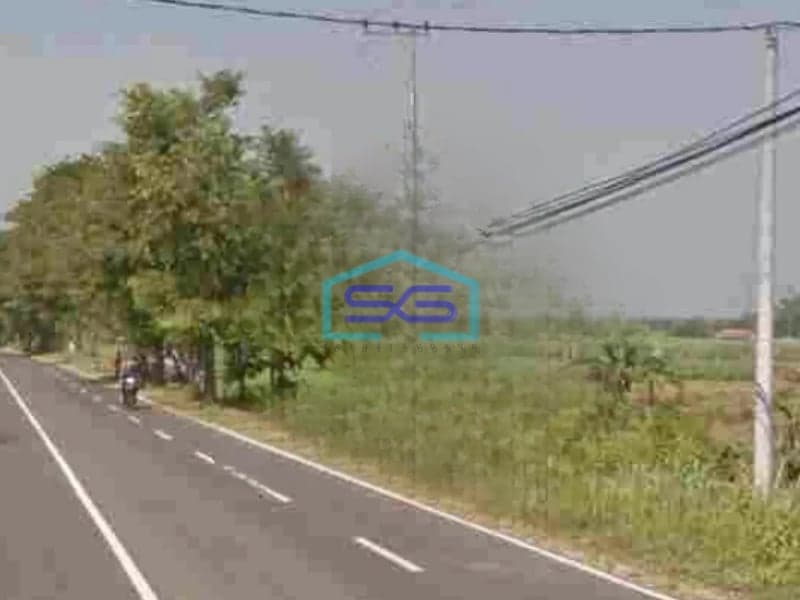 Dijual Cepat Tanah Nol Jalan Raya Dlanggu Mojokerto LT 78000m2