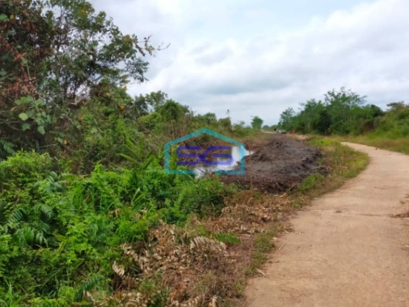 Dijual Tanah Hamparan Jalan Tanjung Api Api Jembatan Gasing Laut Banyuasin Sumatera Selatan