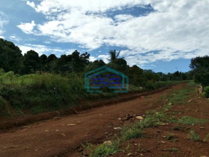 Dijual Tanah di Hambalang Sentul Citeureup Bogor LT 20000m2