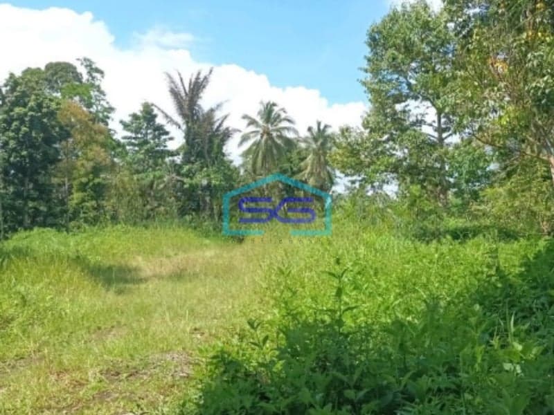 Dijual Tanah Di Jl Raya Manado Bitung Desa Kaima Pas Buat Pergudangan Airmadidi, Minahasa Utara Luas Tanah 110000 m²