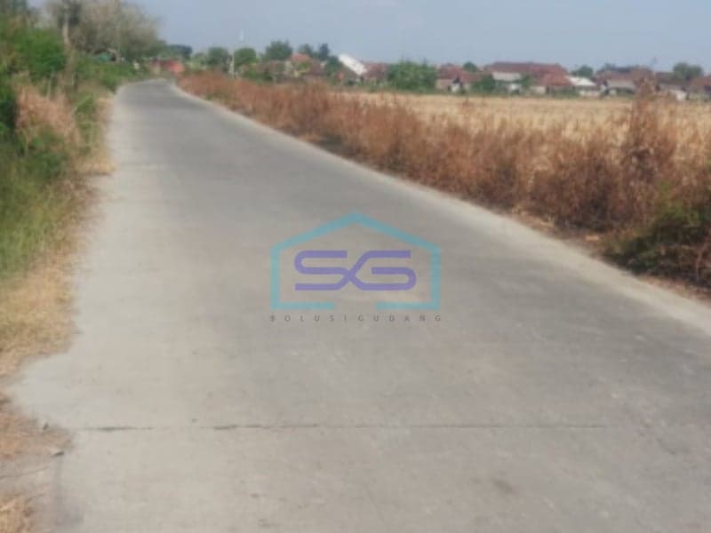 Land for Sale in Wedung Demak, Land Area 80,000 sqm