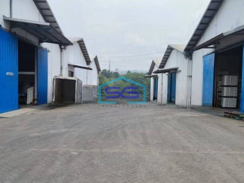 Disewakan Gudang Murah Di Gunung Putri Bogor Dekat Tol Lebar LB 1000m2  Akses Kontainer