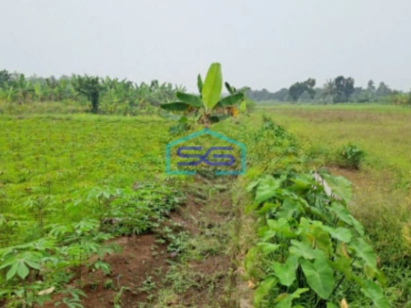 Dijual Tanah Lokasi di Pinggir Jalan Raya Ciseeng Bogor Luas Tanah 2000m2