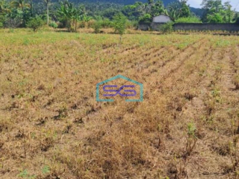 Dijual Tanah Lokasi Di Pinggiran Kota Kemang Bogor LT 120000m2