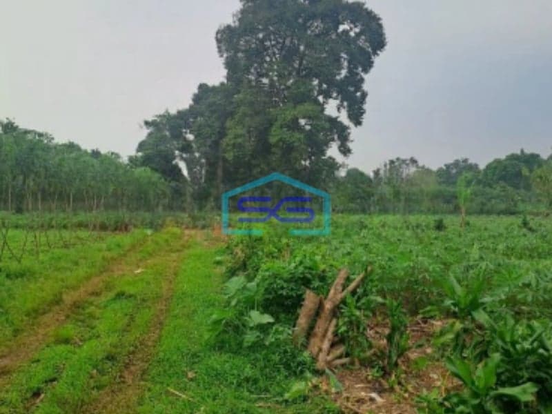 Di Tanah di Daerah Cibeuteung Udik Ciseeng Bogor Luas Tanah 15000m2