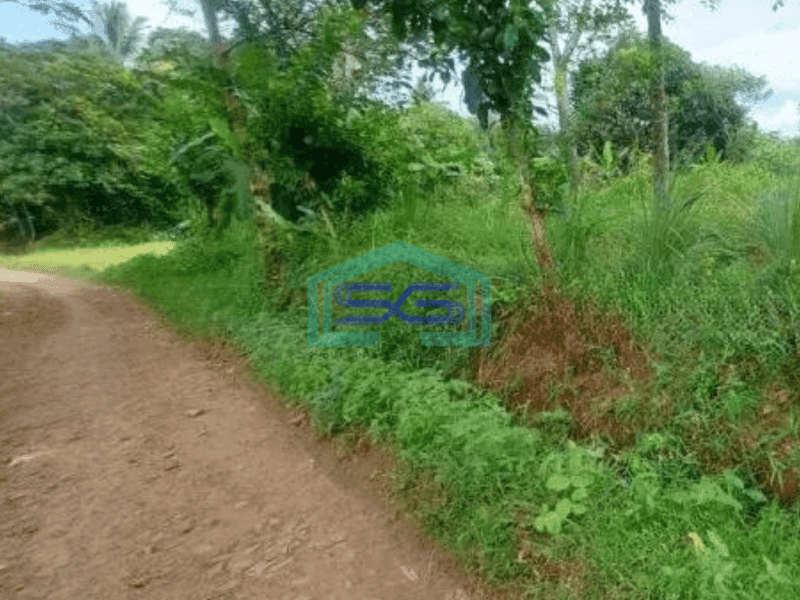 Dijual Tanah Cocok Untuk Gudang di Tenjo Bogor