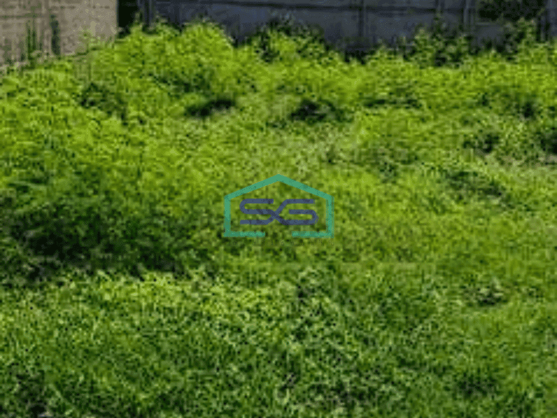 Disewakan Tanah Padat Simetris Raya Kuta Bali Badung LT 1600m2