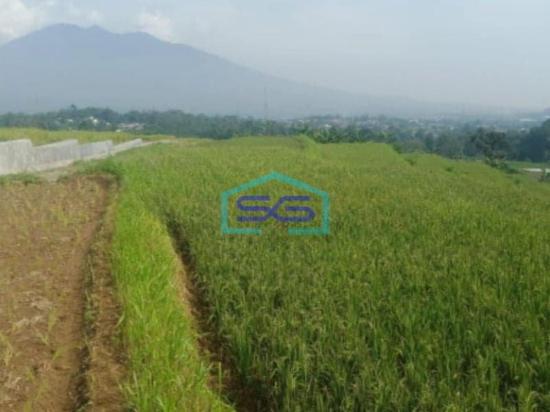 Dijual Tanah Bagus Datar di Tengah Pancawati Caringin Bogor Jawa Barat  LT 1500m2