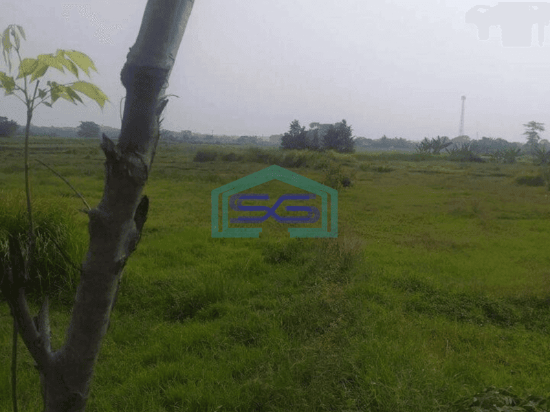 Dijual Tanah Cocok Untuk Gudang di Pinggir Jalan Raya Loji Bekasi