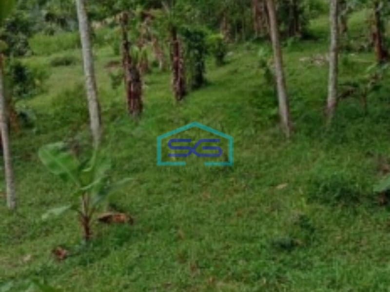 Dijual Tanah Darat di Cidahu Sukabumi Luas 9000m2