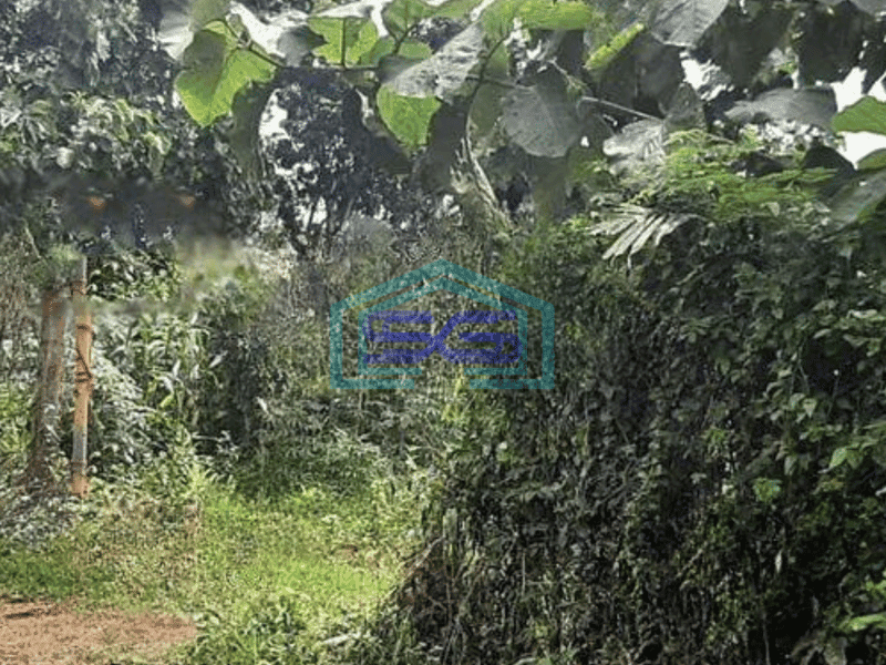 Dijual Tanah Komersil di Mojokerto Kota Luas 32.000m Cocok Untuk Industri Pergudangan