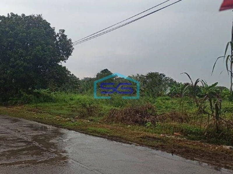 Dijual Tanah di Jalan Raya Kadawung Cipeundeuy Subang Luas Tanah 8671m2