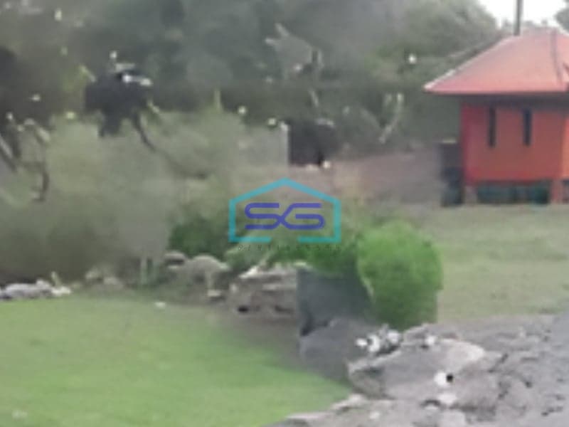 Dijual Tanah Di Jaten Bimomartini Sleman Jogja Luas Tanah 2323m2