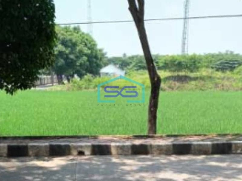 Dijual Tanah Lokasi Pinggir Jalan Raya Sepatan Tangerang Luas  22000 m²