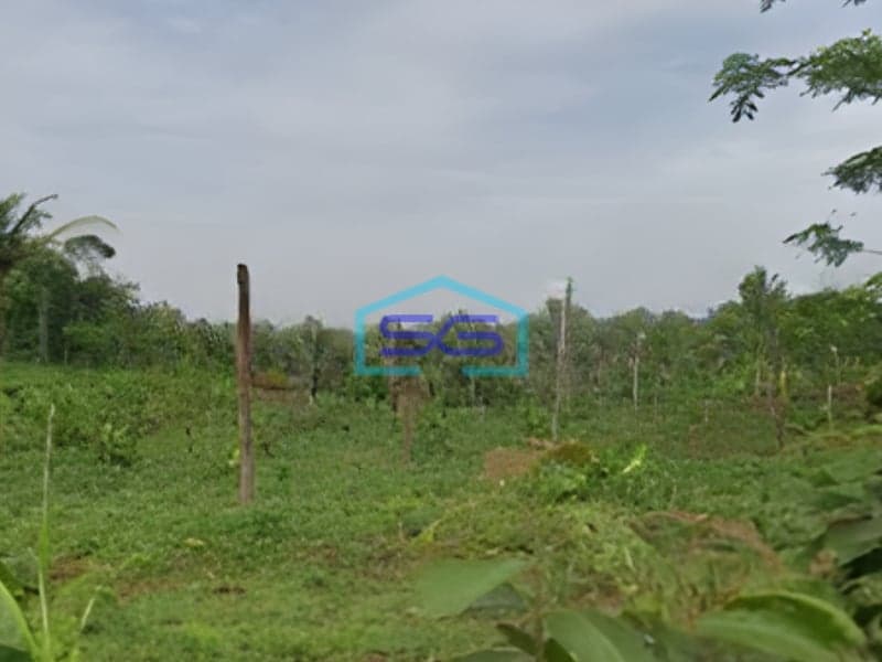 Dijual Tanah di Zona Industri Lokasi Batang Jawa Tengah Luas 119300m2