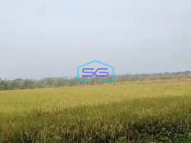 Dijual Tanah Luas  3500 m² Lokasi Sragen Jawa Tengah