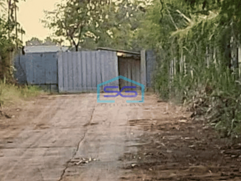 Dijual Tanah Lokasi Dekat Jalan Utama Di Gunung Sindur Bogor LT 1 Ha