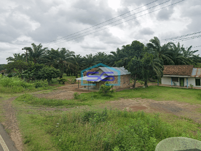 Dijual Tanah Super Luas di Jalan Lintas Sumatera Ogan Komering Ilir LT 7000m2