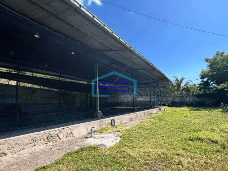 Dijual Tanah Luas 2000 m² SHM di Buleleng Bali