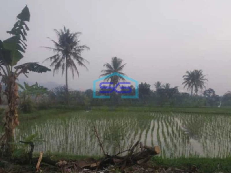 Dijual Tanah Sawah Strategis Cianjur Luas Tanah  9875 m²