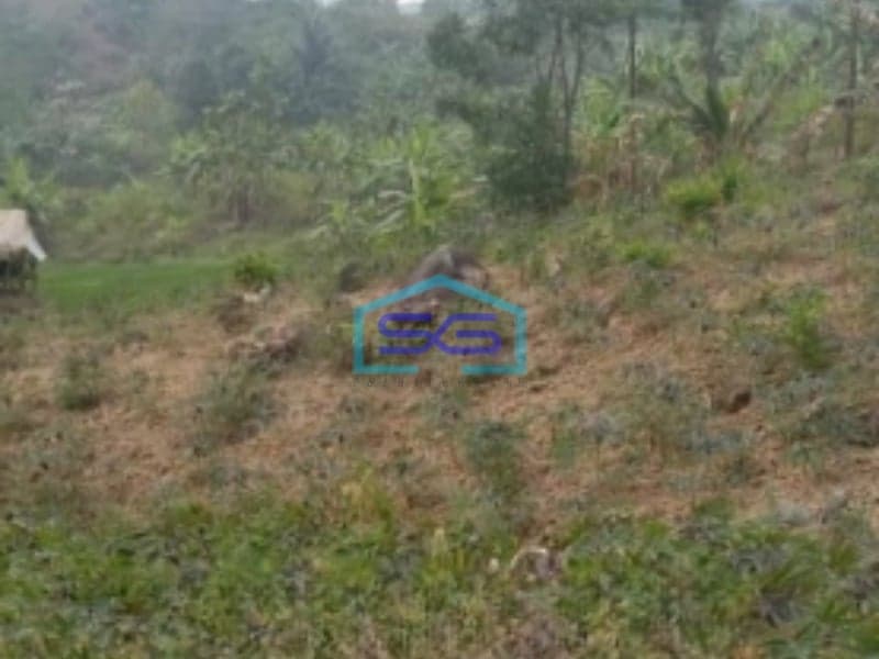 Dijual Tanah Lokasi Bagus Desa Pabuaran Sukamakmur Bogor Luas Tanah 20000m2