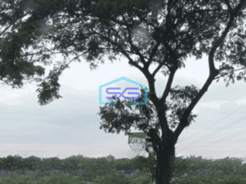 Disewakan Tanah Luas 5000 m² Lokasi Strategis Pinggir Jalan Raya Harapan Indah Bekasi