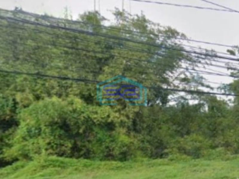 Dijual Tanah Luas 3000 m² Lokasi Strategis di Junjero Batu Jawa Timur