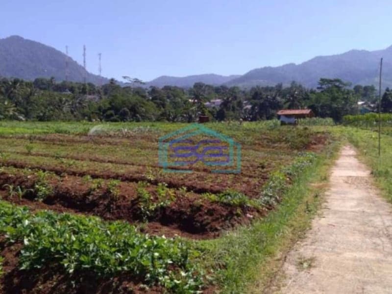 Dijual Tanah di Darat Parakan Salak Sukabumi Luas Tanah 14000m2