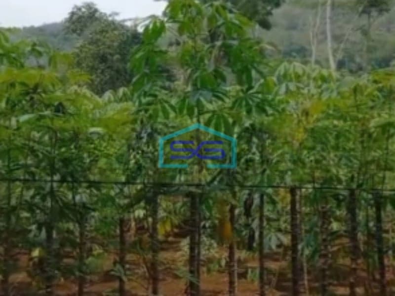 Dijual Tanah Kavling Dekat Jalan Raya Panca Kota Sukabumi Luas Tanah 25000m2